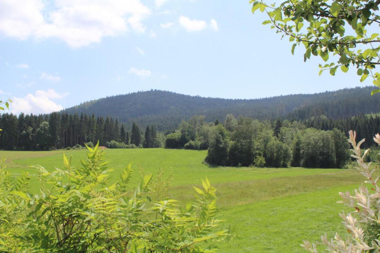 Ferienwohnungen Holzferienhaeuser Leithenwald Zwiesel Exteriér fotografie