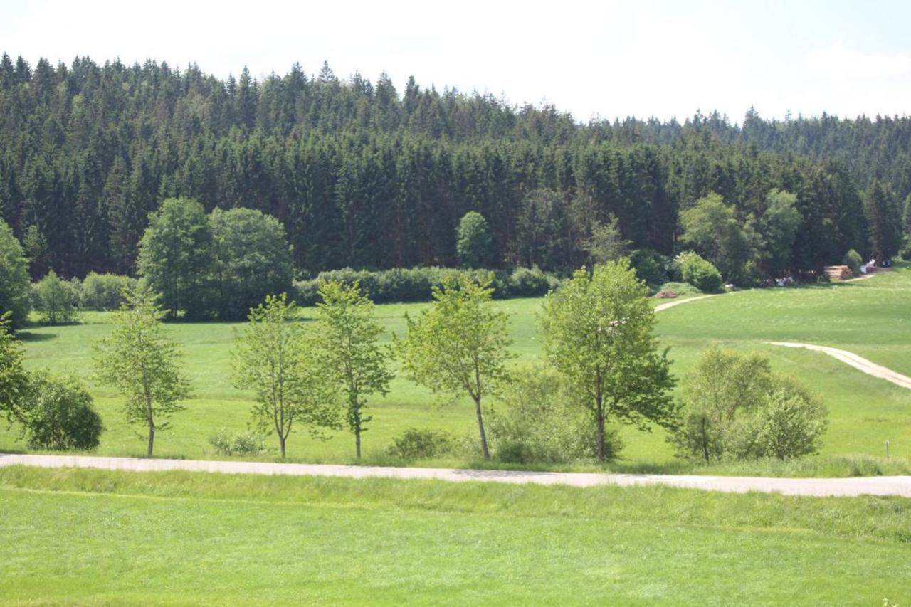 Ferienwohnungen Holzferienhaeuser Leithenwald Zwiesel Exteriér fotografie
