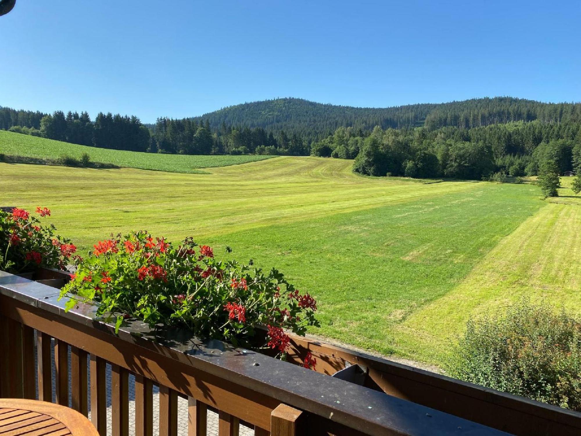 Ferienwohnungen Holzferienhaeuser Leithenwald Zwiesel Exteriér fotografie