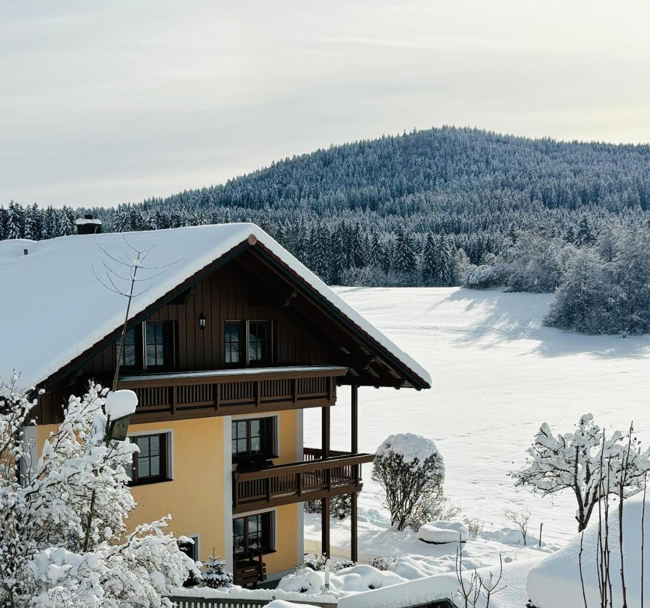 Ferienwohnungen Holzferienhaeuser Leithenwald Zwiesel Exteriér fotografie