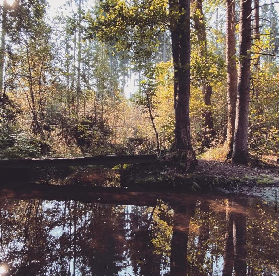 Ferienwohnungen Holzferienhaeuser Leithenwald Zwiesel Exteriér fotografie